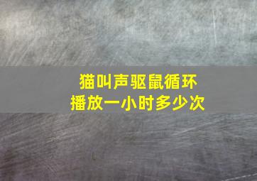 猫叫声驱鼠循环播放一小时多少次