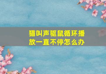 猫叫声驱鼠循环播放一直不停怎么办