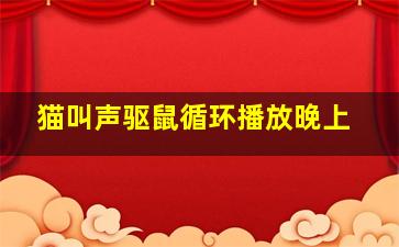 猫叫声驱鼠循环播放晚上