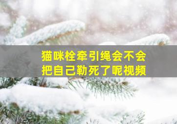 猫咪栓牵引绳会不会把自己勒死了呢视频