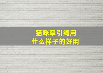 猫咪牵引绳用什么样子的好用