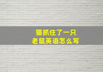 猫抓住了一只老鼠英语怎么写