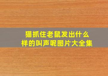 猫抓住老鼠发出什么样的叫声呢图片大全集