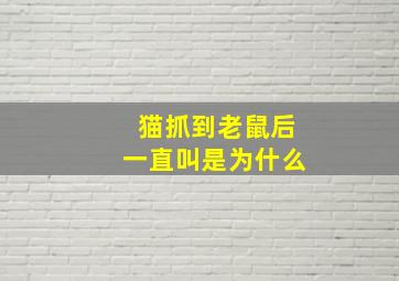 猫抓到老鼠后一直叫是为什么