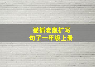 猫抓老鼠扩写句子一年级上册