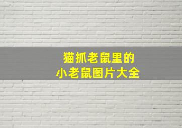 猫抓老鼠里的小老鼠图片大全