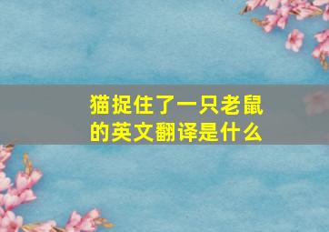 猫捉住了一只老鼠的英文翻译是什么