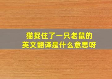 猫捉住了一只老鼠的英文翻译是什么意思呀