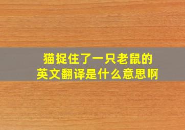 猫捉住了一只老鼠的英文翻译是什么意思啊