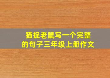 猫捉老鼠写一个完整的句子三年级上册作文