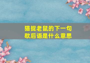 猫捉老鼠的下一句歇后语是什么意思