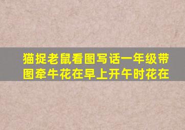 猫捉老鼠看图写话一年级带图牵牛花在早上开午时花在