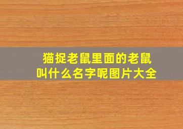 猫捉老鼠里面的老鼠叫什么名字呢图片大全