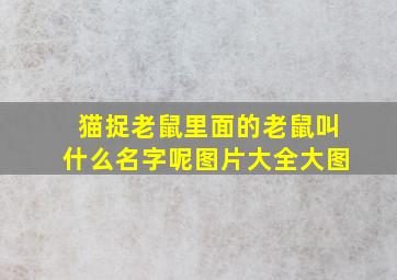 猫捉老鼠里面的老鼠叫什么名字呢图片大全大图