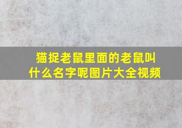 猫捉老鼠里面的老鼠叫什么名字呢图片大全视频