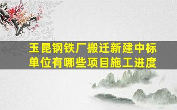 玉昆钢铁厂搬迁新建中标单位有哪些项目施工进度