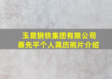 玉昆钢铁集团有限公司蔡先平个人简历照片介绍