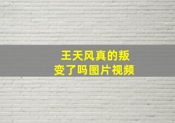 王天风真的叛变了吗图片视频