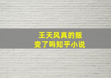 王天风真的叛变了吗知乎小说