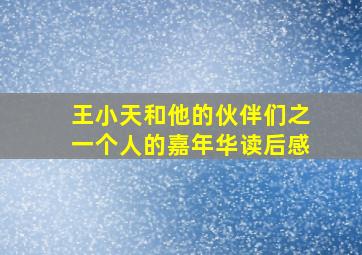 王小天和他的伙伴们之一个人的嘉年华读后感