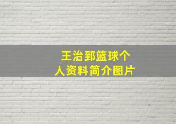 王治郅篮球个人资料简介图片