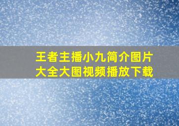 王者主播小九简介图片大全大图视频播放下载