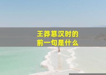 王莽篡汉时的前一句是什么