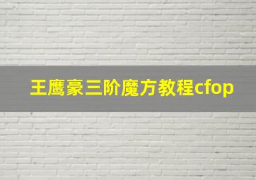 王鹰豪三阶魔方教程cfop