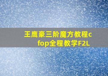 王鹰豪三阶魔方教程cfop全程教学F2L