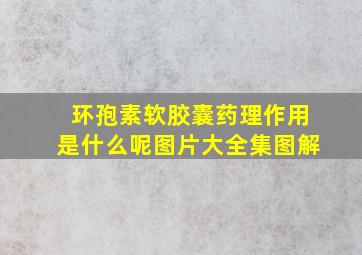 环孢素软胶囊药理作用是什么呢图片大全集图解