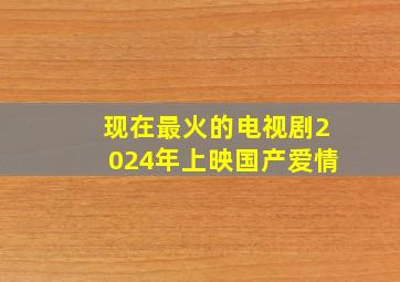 现在最火的电视剧2024年上映国产爱情