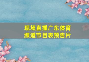 现场直播广东体育频道节目表预告片