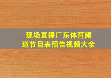 现场直播广东体育频道节目表预告视频大全