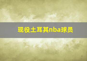 现役土耳其nba球员