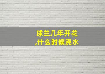 球兰几年开花,什么时候浇水