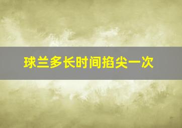 球兰多长时间掐尖一次