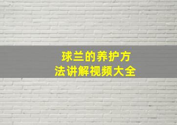 球兰的养护方法讲解视频大全