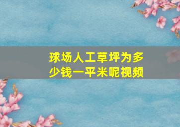 球场人工草坪为多少钱一平米呢视频