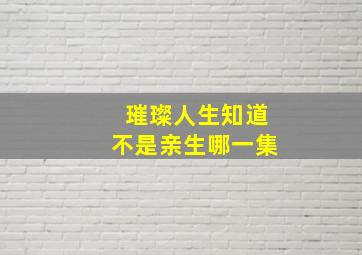 璀璨人生知道不是亲生哪一集