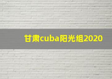 甘肃cuba阳光组2020