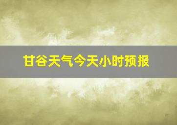 甘谷天气今天小时预报