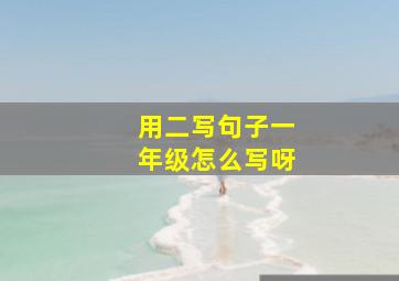 用二写句子一年级怎么写呀