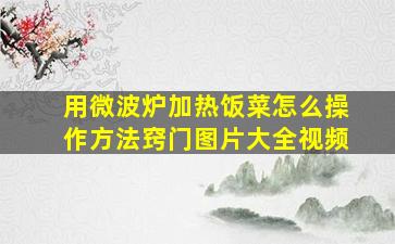 用微波炉加热饭菜怎么操作方法窍门图片大全视频