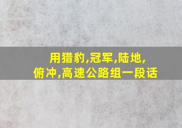 用猎豹,冠军,陆地,俯冲,高速公路组一段话