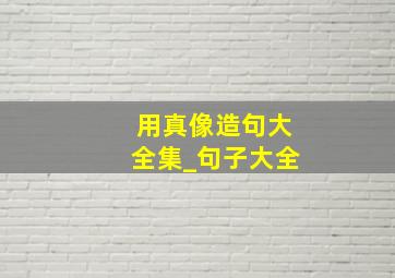 用真像造句大全集_句子大全