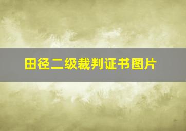 田径二级裁判证书图片