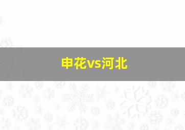 申花vs河北