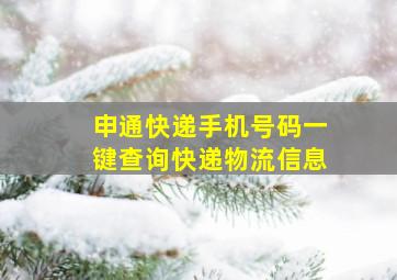 申通快递手机号码一键查询快递物流信息