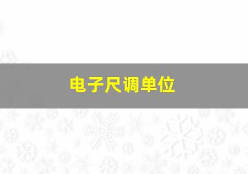 电子尺调单位