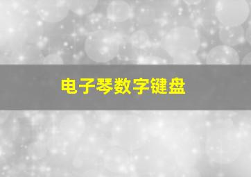 电子琴数字键盘